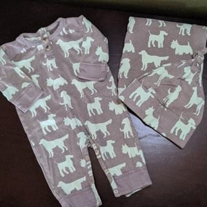 Adorable Dog 🐕 Outfit